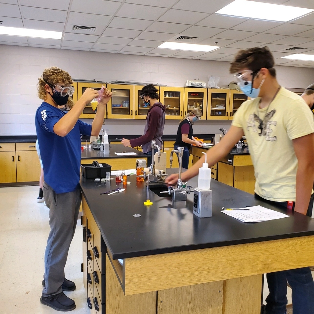 lab